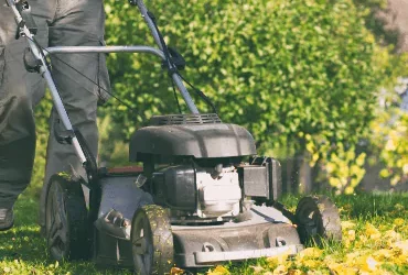 Entretien de jardin en Saône-et-Loire : bénéficiez d’un véritable havre de paix, sain et propice à la détente